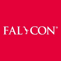 Falcon Illumination MV logo - Similar company to Autovimation Gmbh