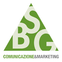 BSG SRL logo - Similar company to Api Communication Srl