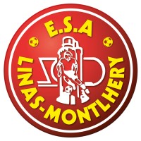 ESALM ⚽ Football Club de Linas-Montlhéry N3 FFF logo - Similar company to Révolte-Toi Evry