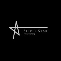 Silver Star HR logo - Similar company to Job Consulting Llc