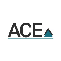 ACE Research & Advisory logo - Similar company to Jeena Scriptech Alpha Advisors Pvt Ltd