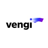 Vengi Brasil logo - Similar company to Nextgen Data - Consultoria