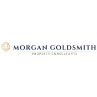 Morgan Goldsmith logo - Similar company to Portman Rise