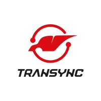Transync LLC logo - Similar company to Euroview
