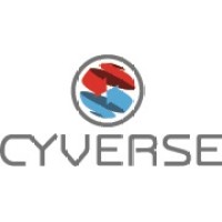 Cyverse AG logo - Similar company to Brava Security