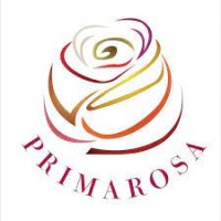 Primarosa Flowers logo - Similar company to Pj Dave Flora Limited