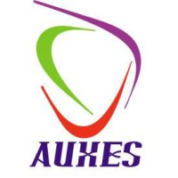 AUXES IT Solution logo - Similar company to Isoftinfotech