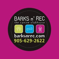 Barks n' Rec logo - Similar company to Toronto Podcast Studio - Waterfront.Studio
