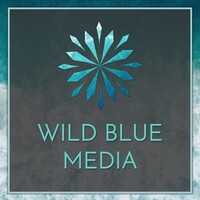 Wild Blue Media Content - Cape Town logo - Similar company to Wild Blue Media