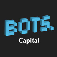BOTS Capital logo - Similar company to Dalaris B.V.