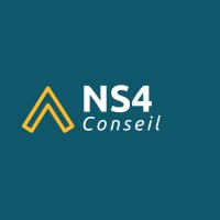 NS4 logo - Similar company to P2Work Consulting