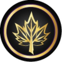 Black Leaf Digital logo - Similar company to Socialaize