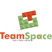 TeamSpace Financial Services Pvt. Ltd. logo - Similar company to Konar