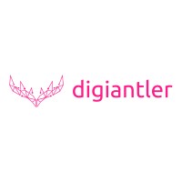 DigiAntler Web Design logo - Similar company to Web Design Development Melbourne