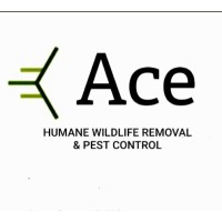 Ace Humane Wildlife Removal & Pest Control logo - Similar company to Propest Ltd