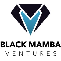 Black Mamba Ventures logo - Similar company to Swissorb Sa