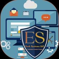Ezek Systems LLC logo - Similar company to Delt Shared Services Ltd