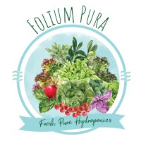Folium Pura - Hydroponics Farm | Ahmedabad logo - Similar company to Terpz
