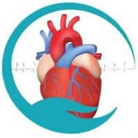 Addis Cardiac Hospital Plc logo - Similar company to Lai Live
