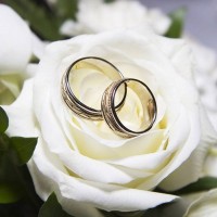 Nj Wedding Pros