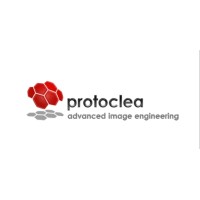 Protoclea