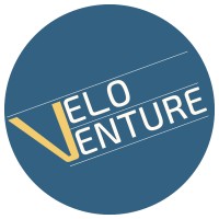 VeloVenture logo - Similar company to Dolling + Partners New Consulting Gmbh