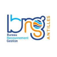 BRG ANTILLES - BUREAU DE RECOUVREMENT ET DE GESTION DES ANTILLES logo - Similar company to Académie Pnl Eric Mathiasin