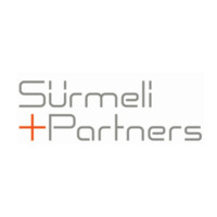 Sürmeli & Partners logo - Similar company to Tepe Grup