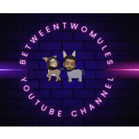 BetweenTwoMules logo - Similar company to Impel Consulting