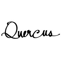 Quercuspace logo - Similar company to United Developers