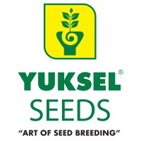 Yuksel Seeds Americas logo - Similar company to Cuquerella & Pla S.L.