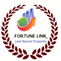 Fortunelink Multiservices Pvt Ltd logo - Similar company to Finance Loans