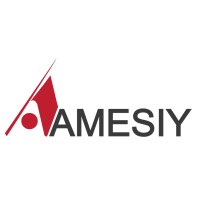 Amesiy logo - Similar company to Dms Drywall Systems Ltd
