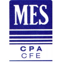 Mindy Eisenberg Stark CPA, CFE logo - Similar company to Czarnowski & Beer Llp