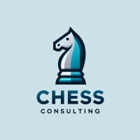 Chess Consulting BV logo - Similar company to Plaatsgebrek