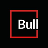 Bull&Company Consulting logo - Similar company to Alfa Centauri