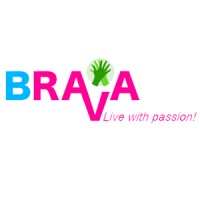 Brava Technology Co.Ltd logo - Similar company to Lagoo Technology Co., Ltd.