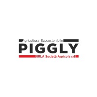 Piggly logo - Similar company to Fnovi