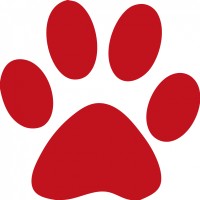 bigboi logo - Similar company to Bigboi International Pty Ltd