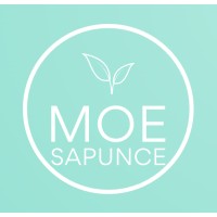 Moe Sapunce logo - Similar company to Dark Technologies