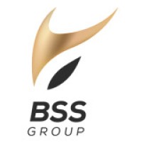 BSS GROUP logo - Similar company to Bss Group