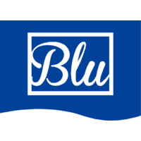 BLU REP SpA logo - Similar company to Pms Consulting Spa