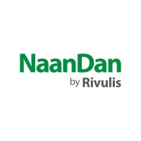 NaanDan Brasil logo - Similar company to Play Park Brinquedos