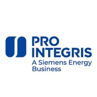 Pro Integris logo - Similar company to Sintaksa