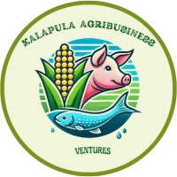 Kalapula Agribusiness Ventures logo - Similar company to Cassava Kenya
