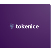 Tokenice logo - Similar company to Monad