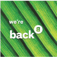 BACK logo - Similar company to Mimmo Studio