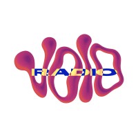 VOID Radio logo - Similar company to The Training Gyms