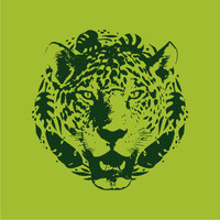 Otorongo Group logo - Similar company to Optima Energy Group