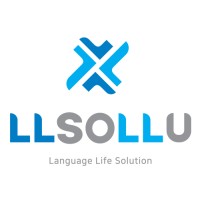 LLSOLLU logo - Similar company to Ironpig
